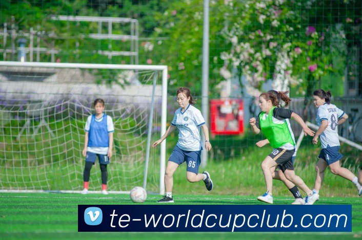 多媒体互动体验